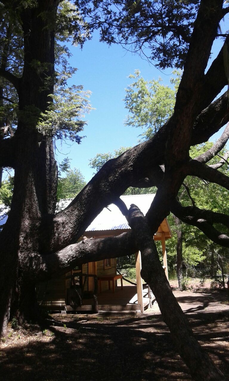 Aitue Cabins