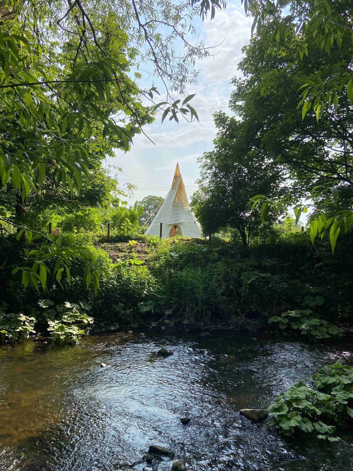 Tipi on a Flower Farm