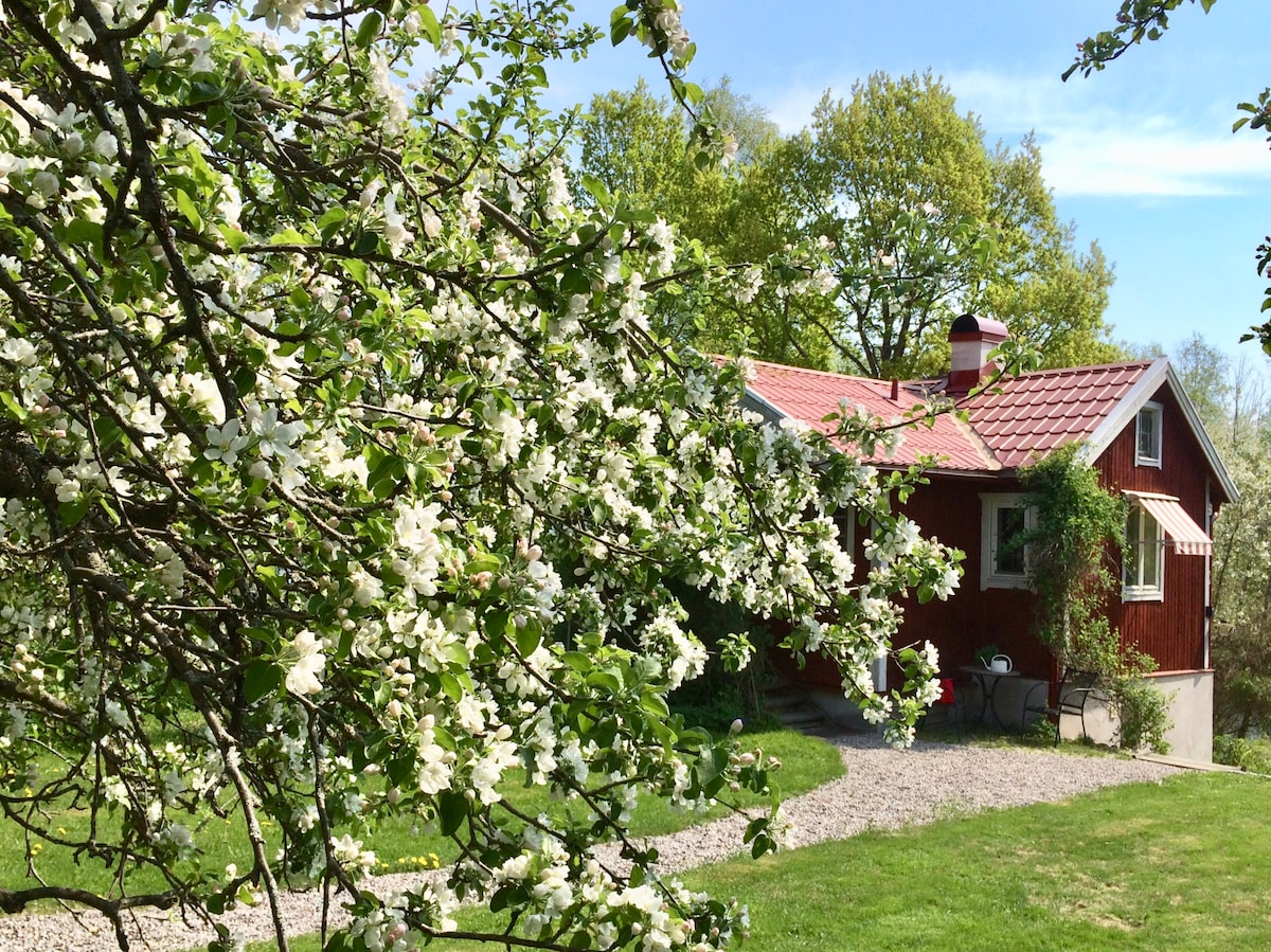 位于Gävle Gavleån的郁郁葱葱的花园中的舒适小木屋