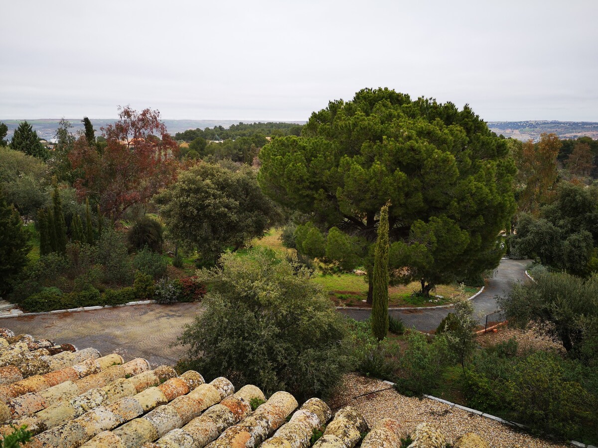 Cigarral de Maria in ctra. Navalpino