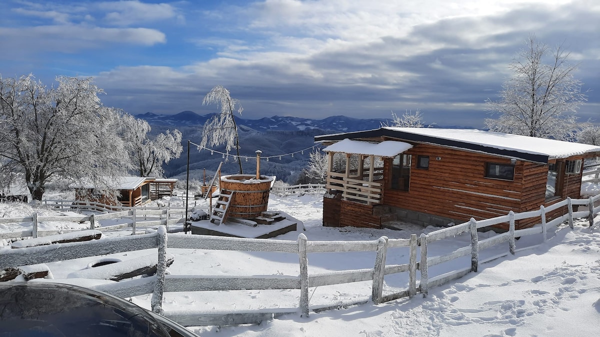 HimalayaLodge度假木屋，带橱柜，位于阿普塞尼市中心