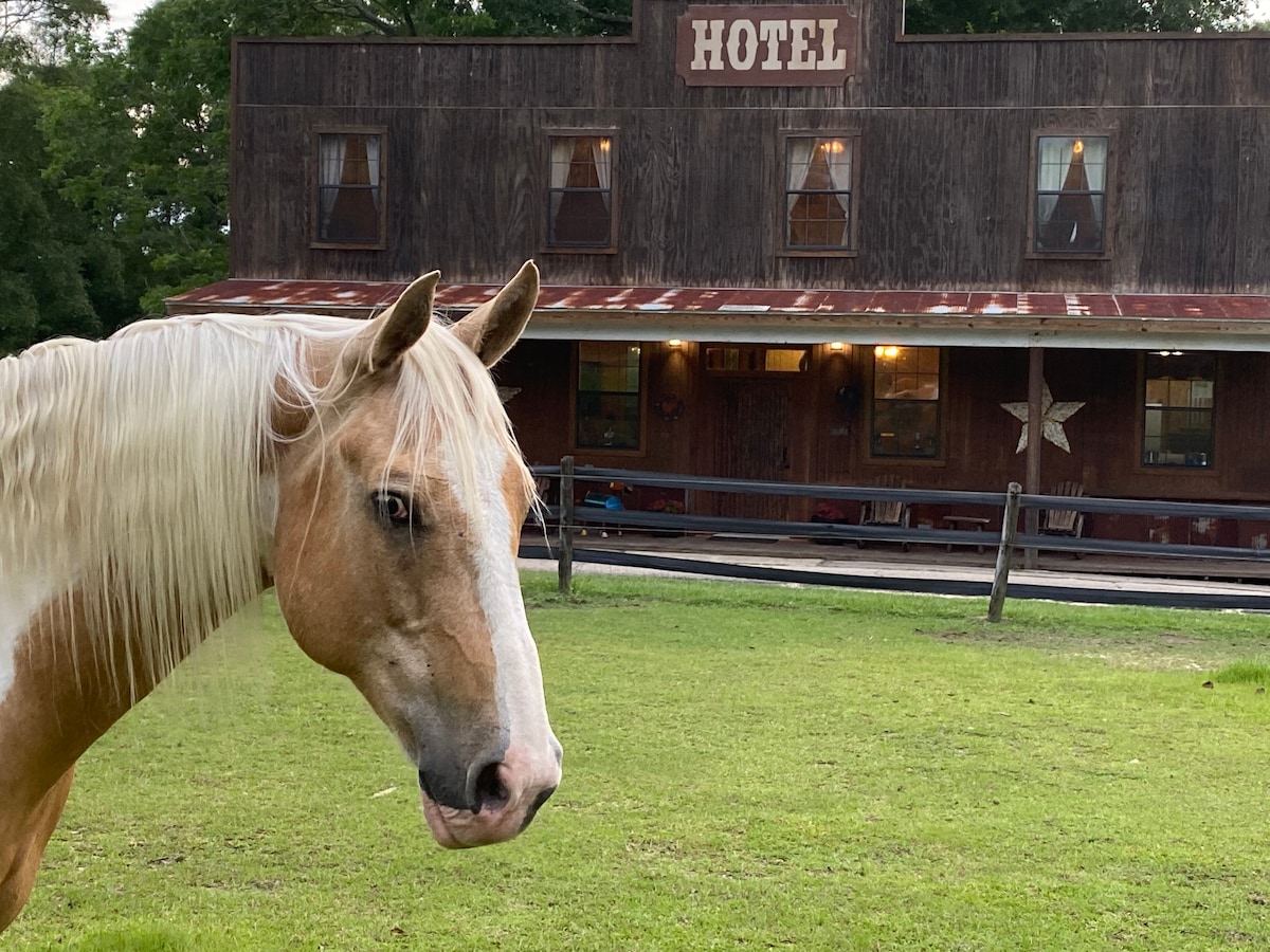 Tito's Fine Step Suite on Elegant Horse Estate