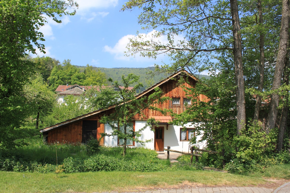 舒适的瑞士度假木屋