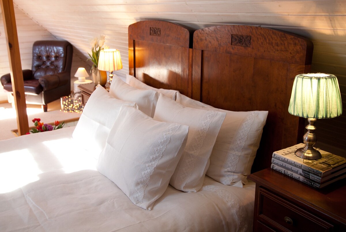 Library room,  Adami Country Guesthouse