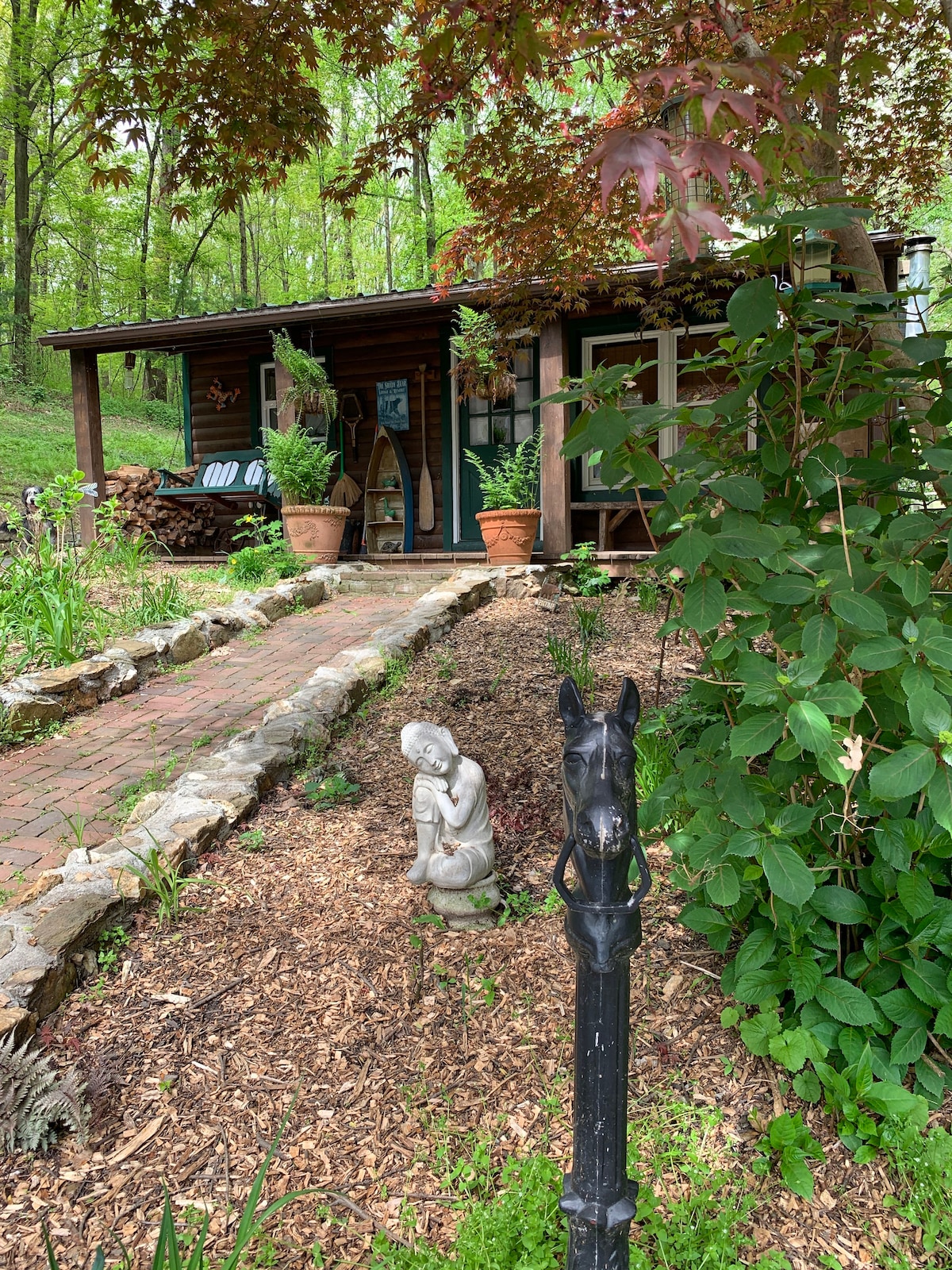 The Shady Bear Cabin