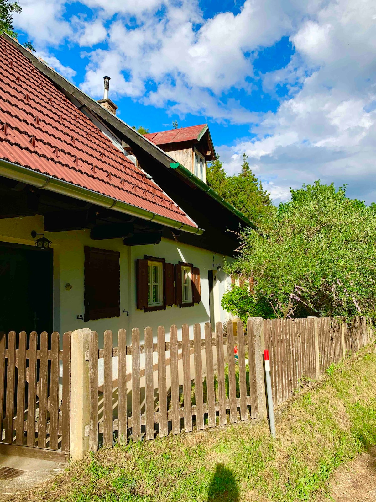 新装修的房屋- Reichenau自然保护区