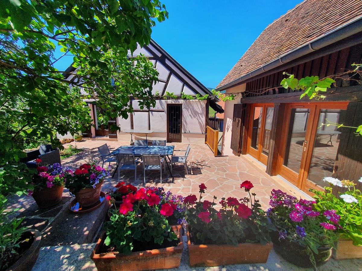 Adorable maison de vacances au cœur du vignoble