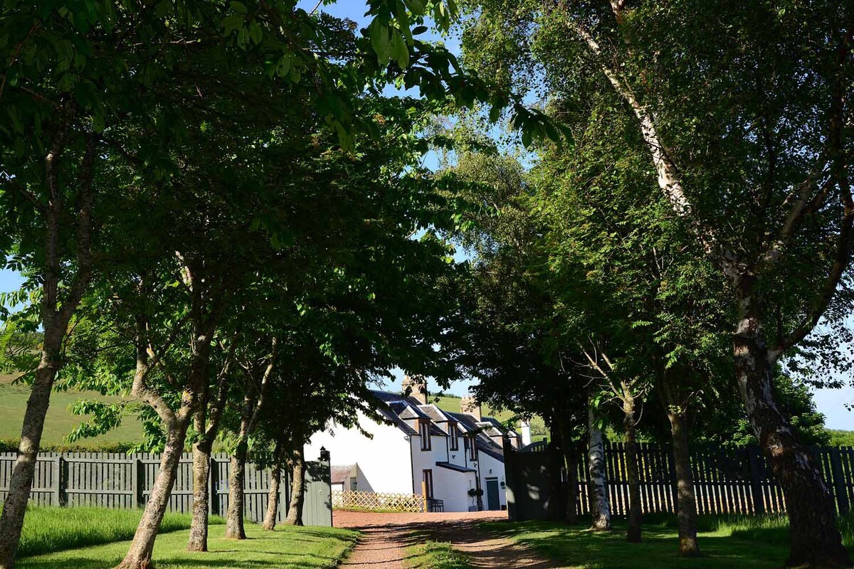 Kate 's Cottages, Kinnighallen