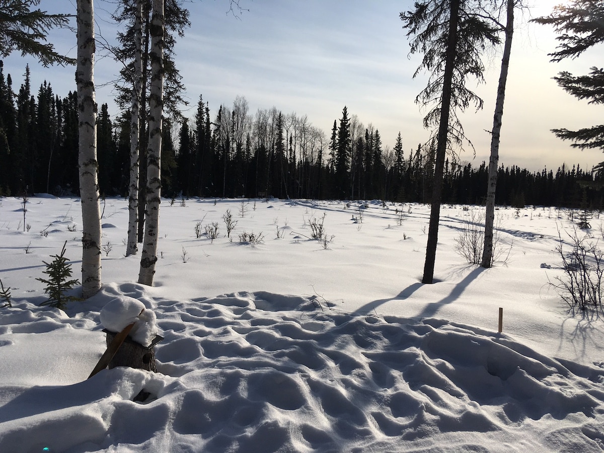 育空探索步道（ Yukon Quest Trail ）上的舒适谷户外小木屋