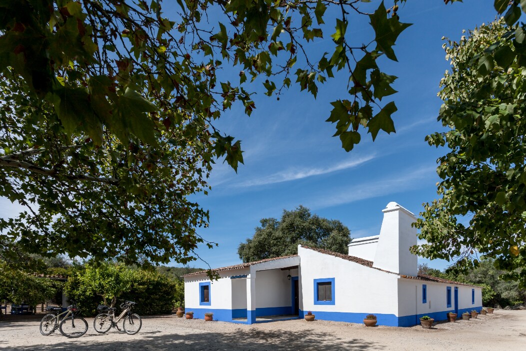 A small Paradise in Évora,  a typical farm – T3