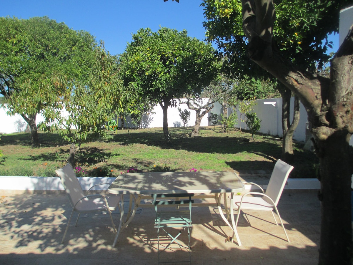 典型的葡萄牙房屋，带泳池