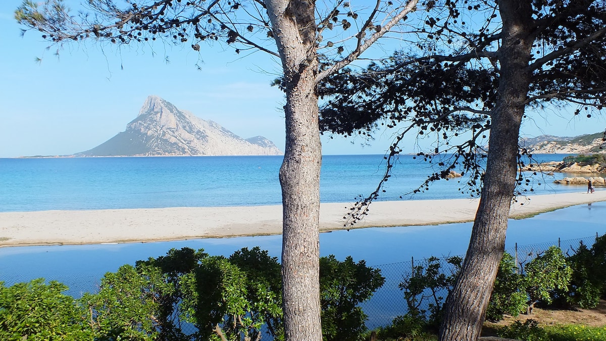 Casa Grazia - Porto Taverna的海滨别墅