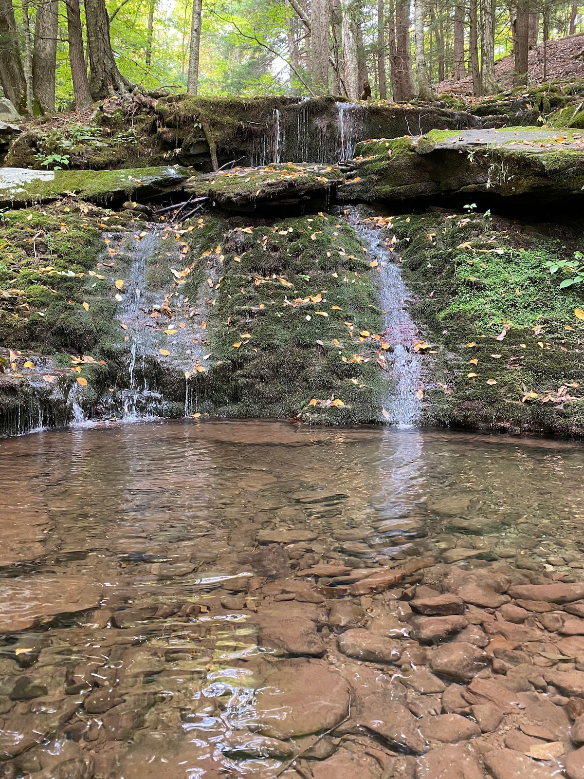 Catskill Mountain Cabin Waterfall Retreat