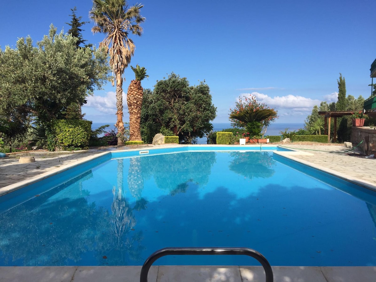 莱蒂西亚别墅（ Villa Letizia ）_绿色植物环绕的私人泳池