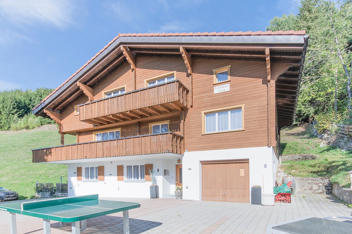 Chalet Viola am Waldrand von Disentis