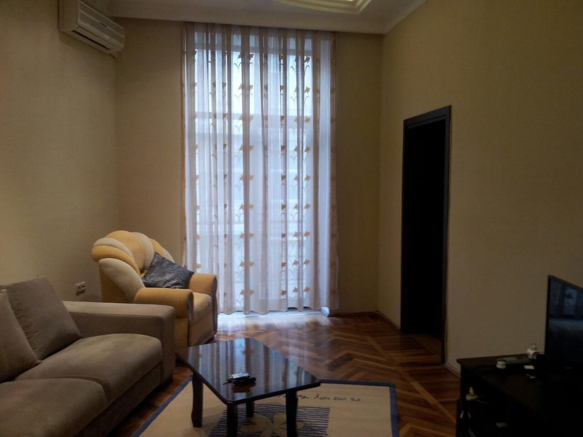 Perfect apartment in the heart of Baku