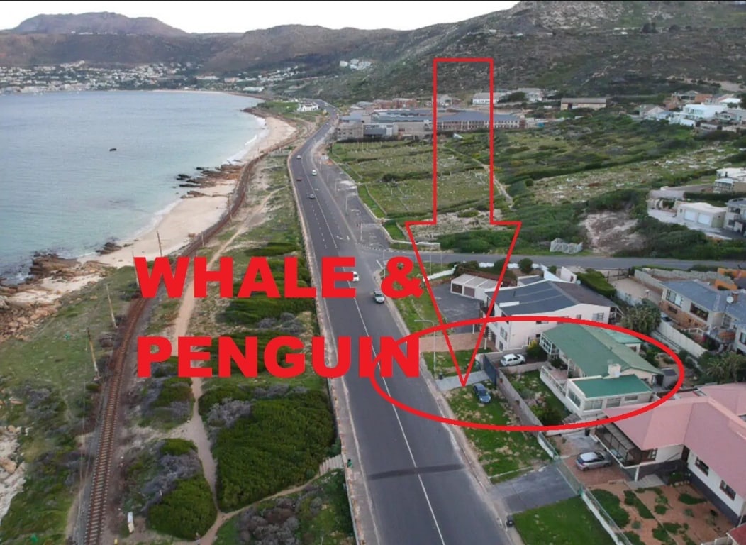 Whaling Penguin - Beachfront cozy duplex apartment