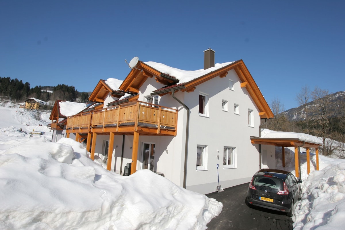 Koetschach-Mauthen滑雪区的度假木屋