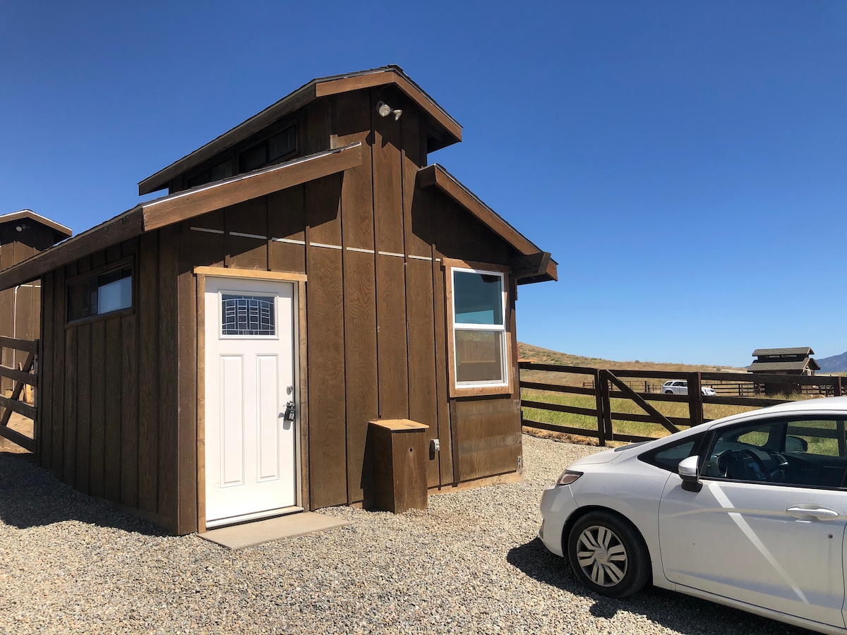 The Llama (A Lone Juniper Ranch Cabin)