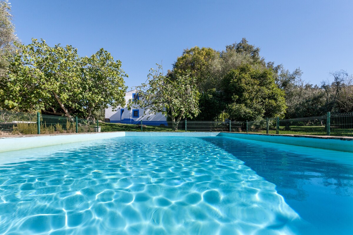 A small Paradise in Évora, a typical farm - T2