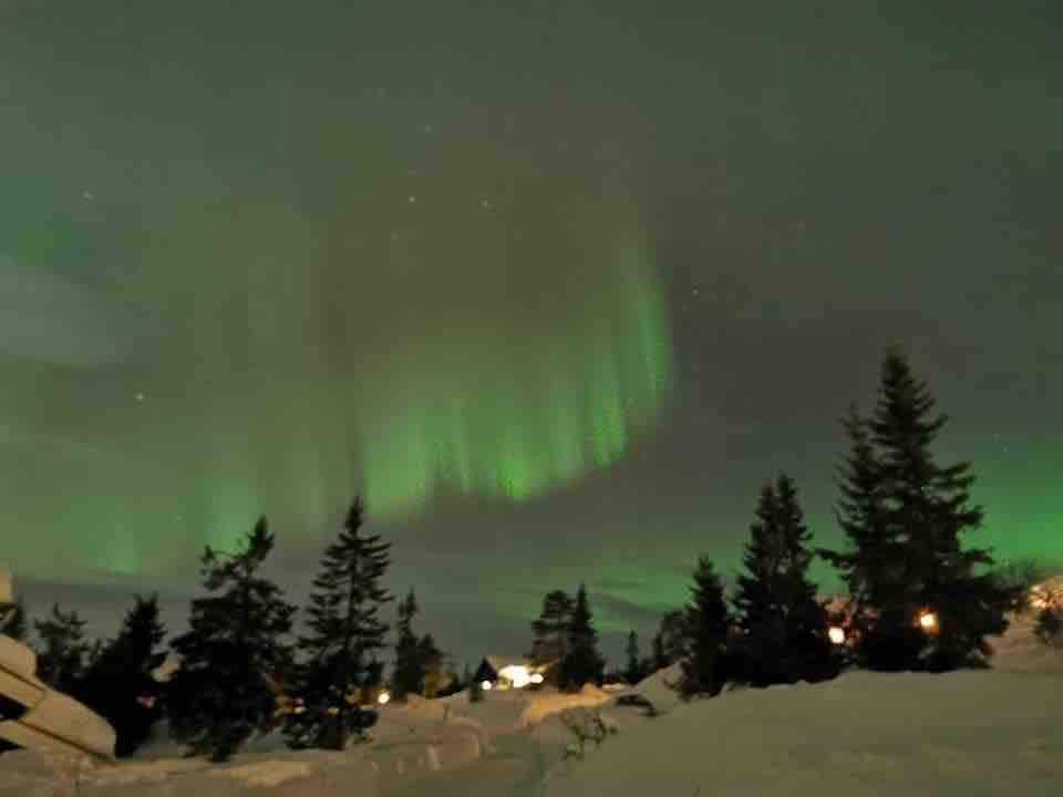 Nyt fjellet på Budor- kun 1,5 t fra Oslo.