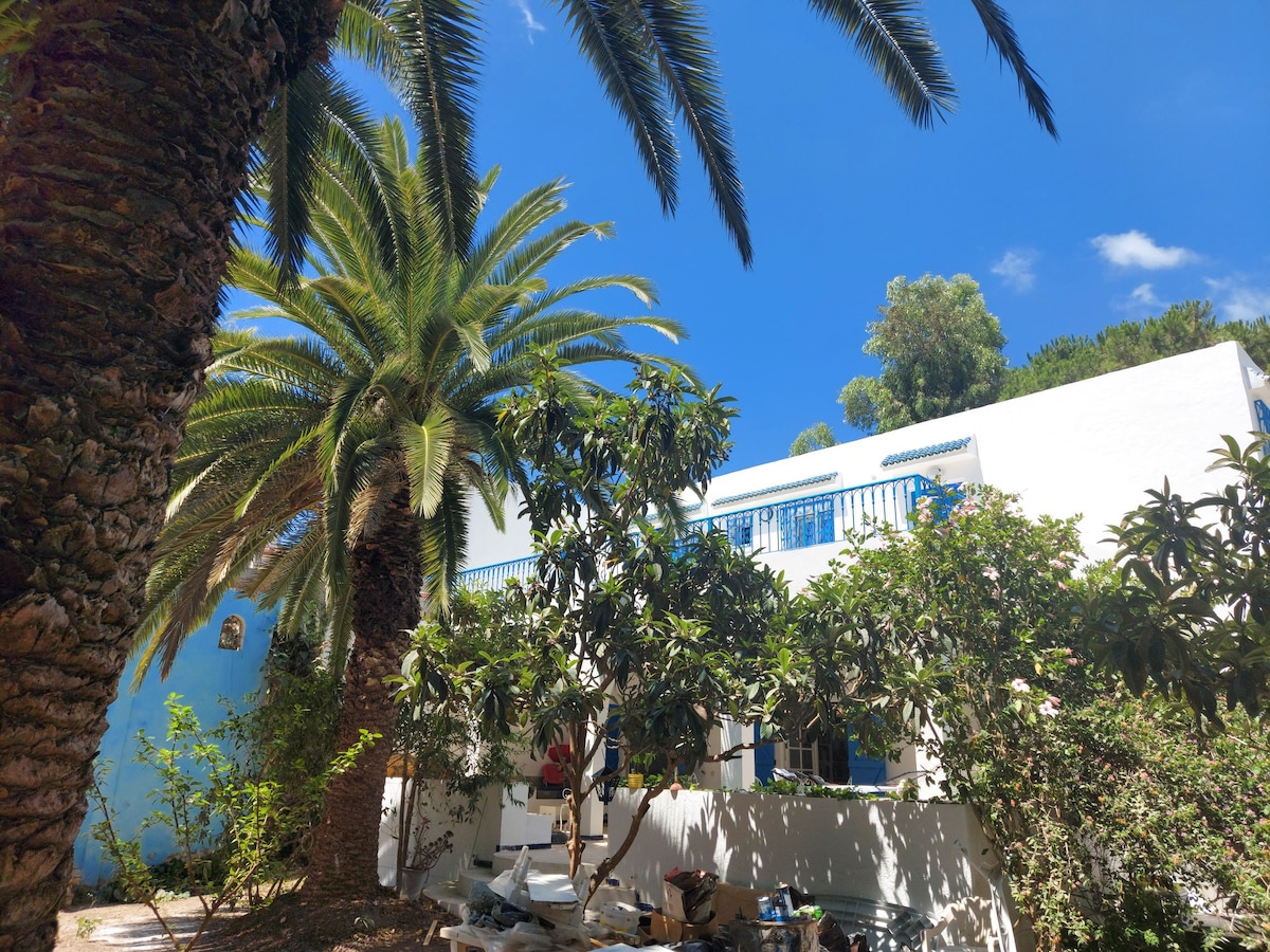 别墅「蓝色棕榈树」非常靠近海边。