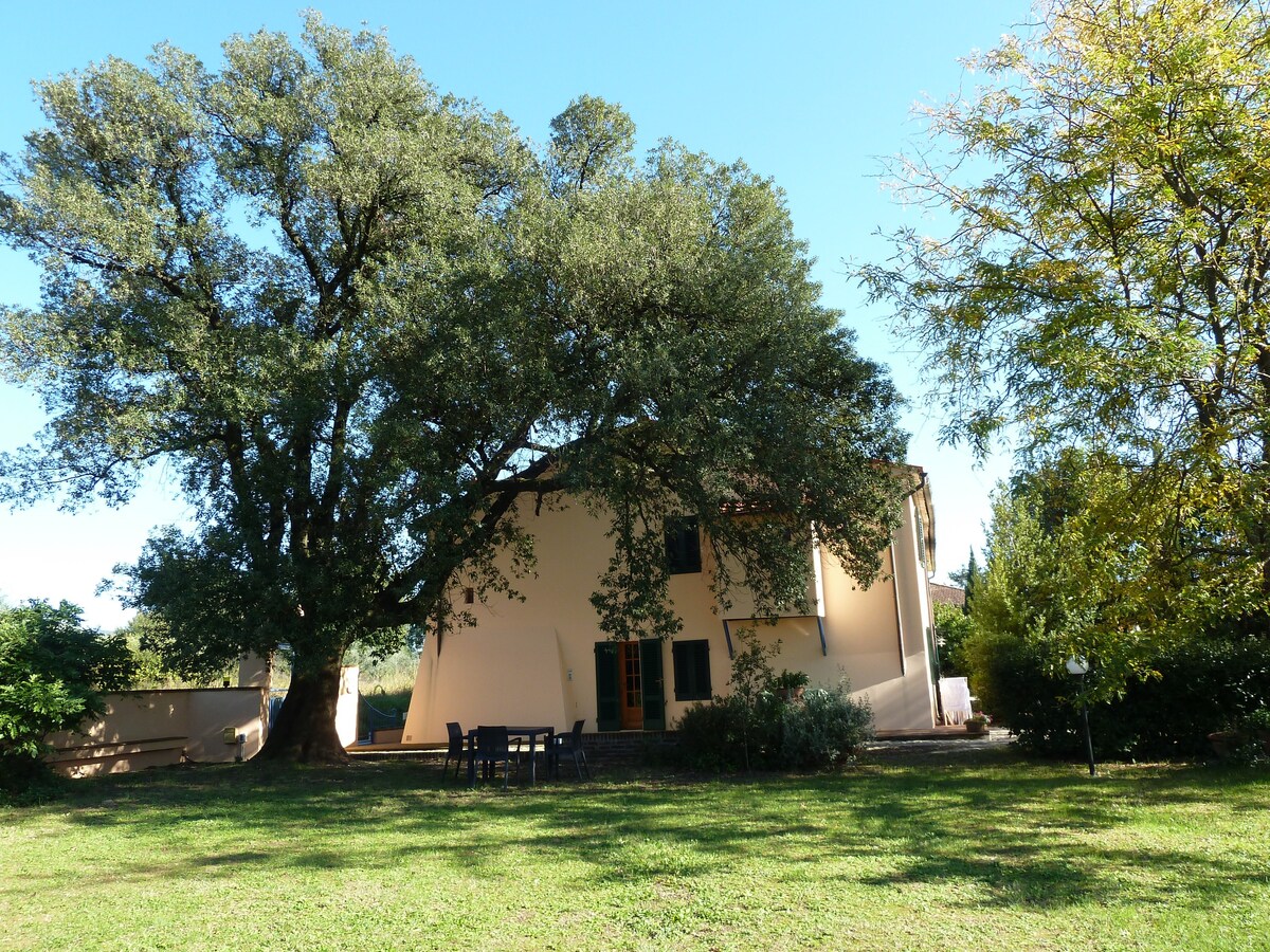 Apartment Al Vecchio Leccio