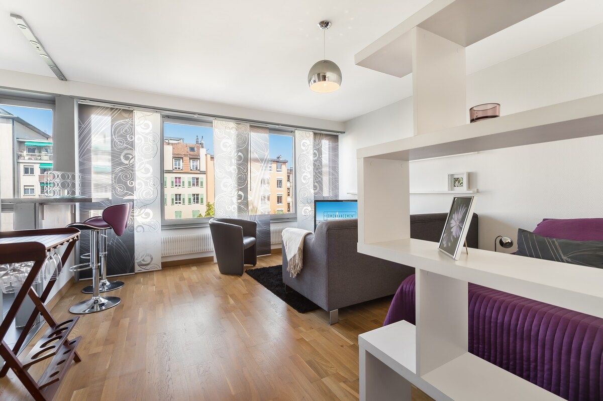 地理位置优越的单间公寓，位于日内瓦右岸
