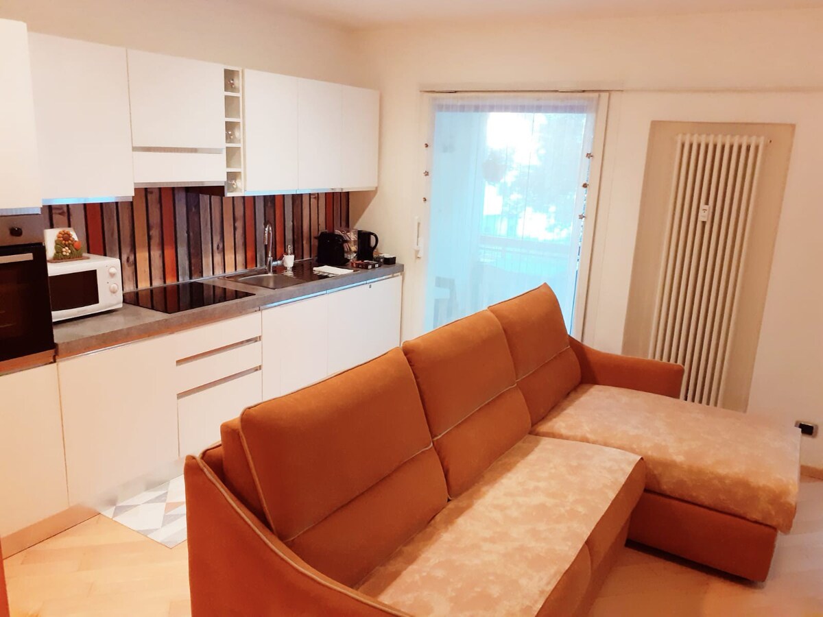 舒适的公寓（博尔扎诺市中心） ：现代