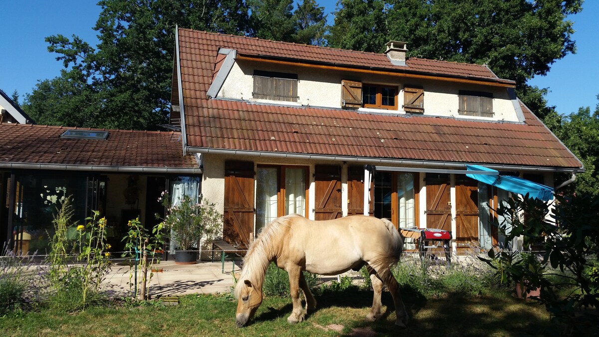 Eco site Epona "La Mini Ferme" Parc Naturel Vosges