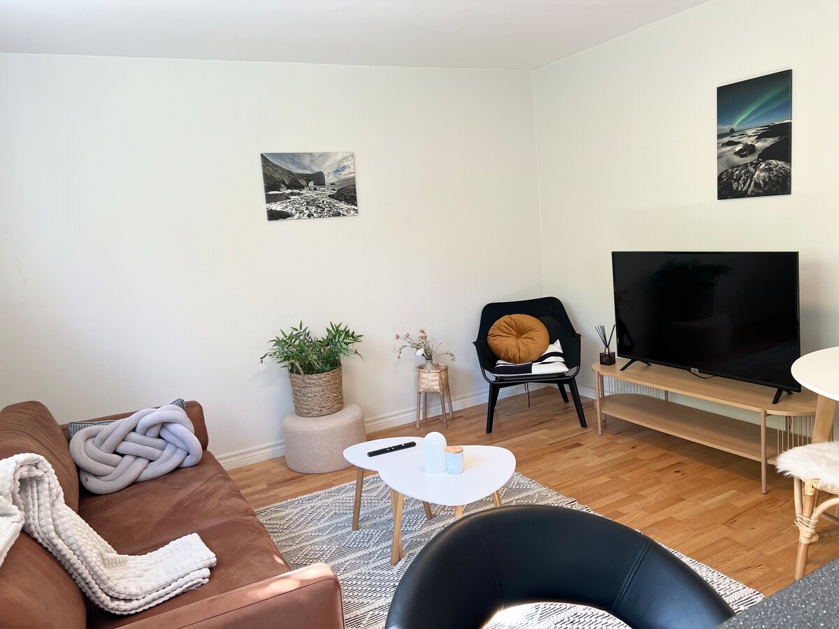 2 Bedroom Apartment in Downtown Reykjavik.