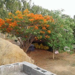 Farm stay with nature around