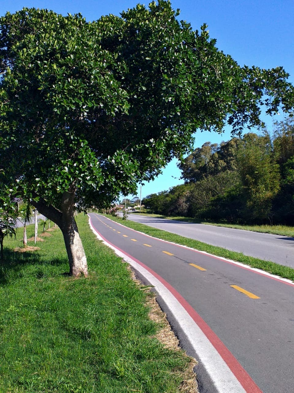 Cassino-Espaço junto a natureza (Bem-te-vi)