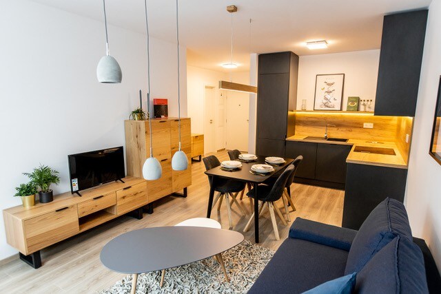 Bratislava, modern apartment with good connection