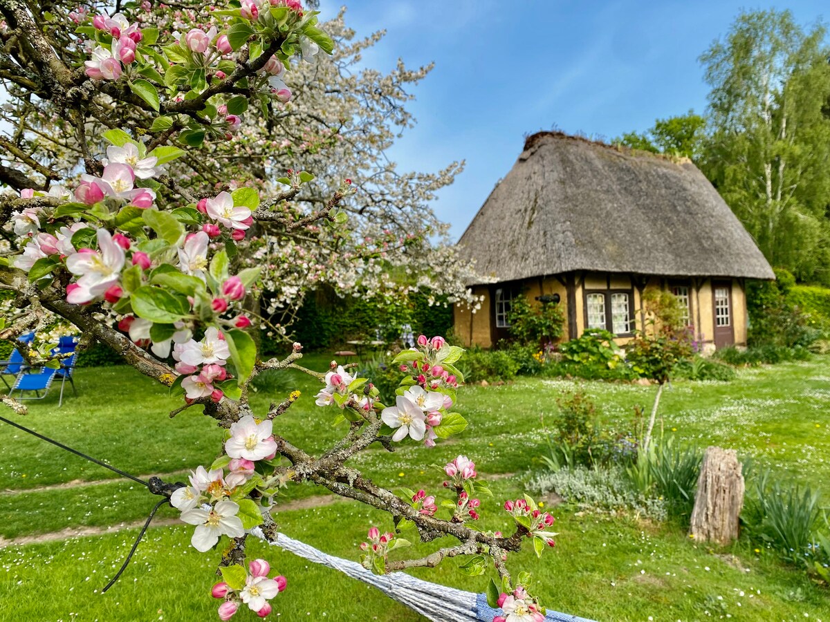 靠近Honfleur的小型迷人小屋