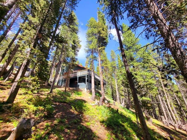 爱达荷泉 (Idaho Springs)的民宿