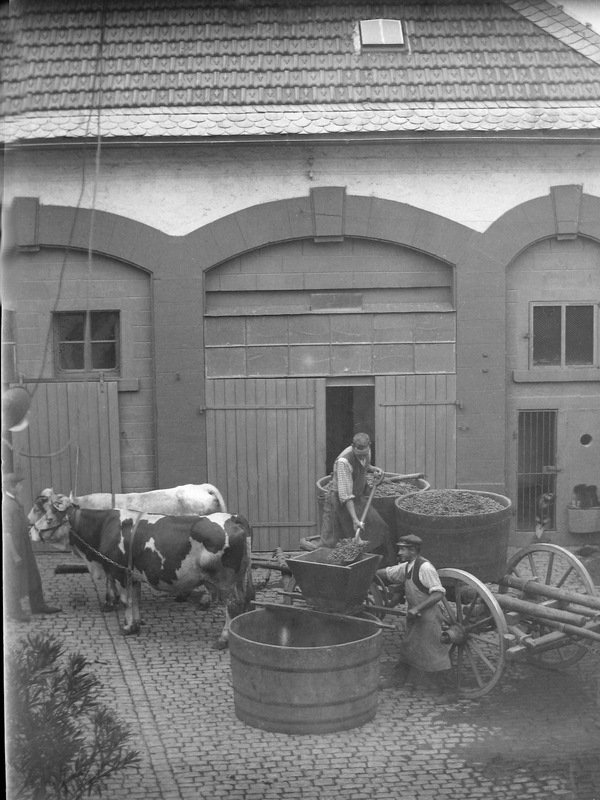 Zimmer im historischen Weingut