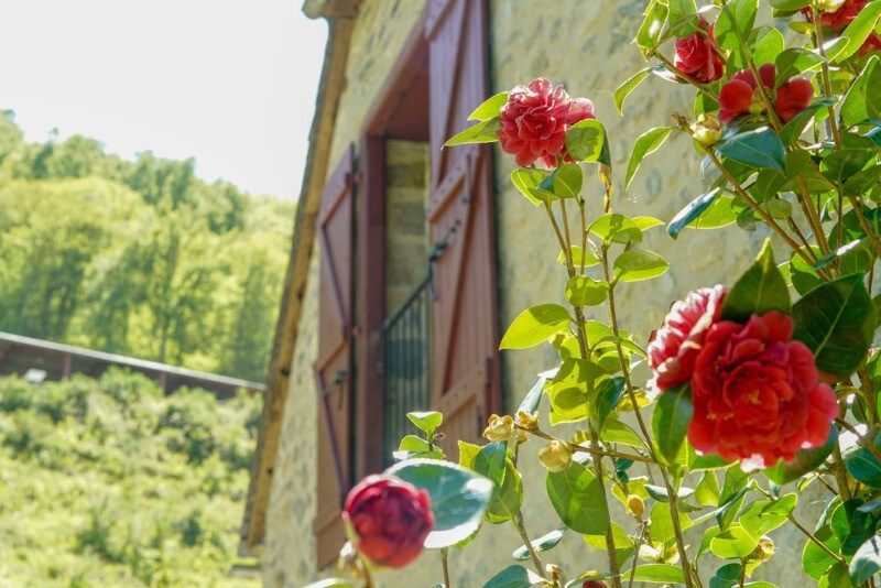 Gite Boucail, Ouzous, Hautes-Pyrénées