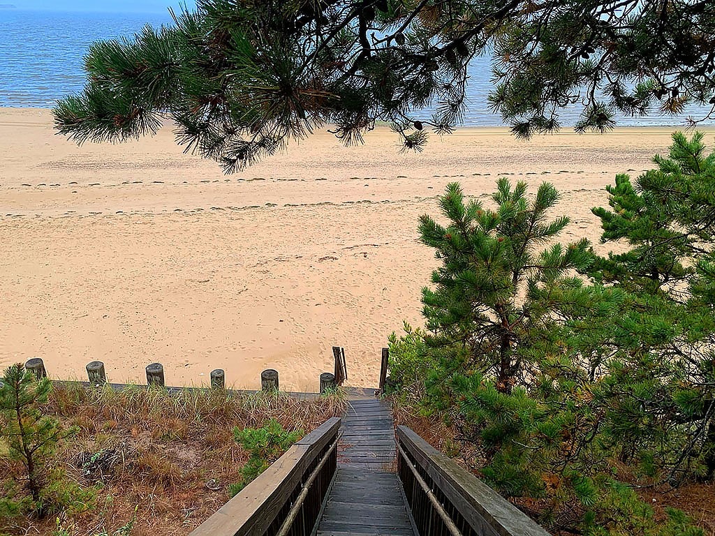 海边的Wellfleet Cottage