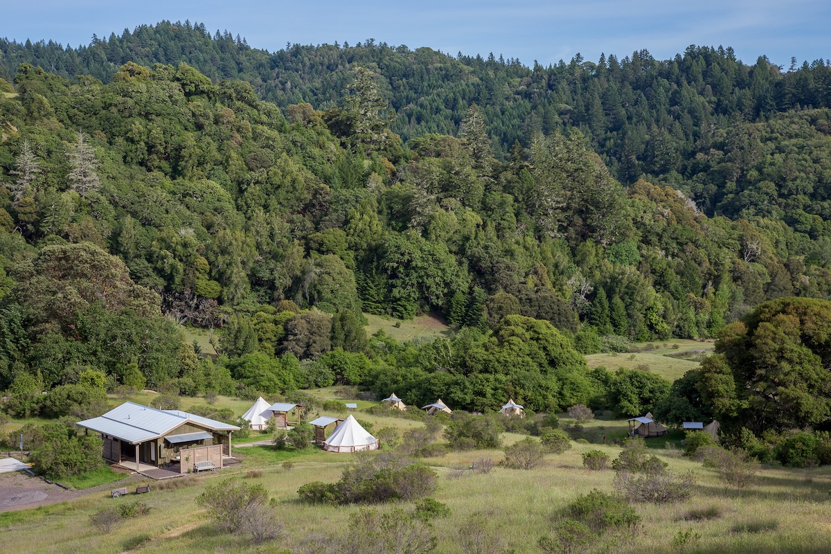 Toyon & Fiddlehead Glamping Tents at Whispertree