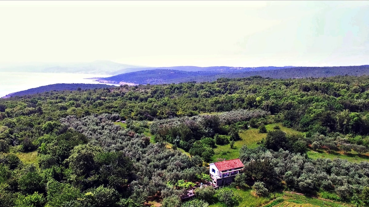 Ecohouse Oliveglia (isolated agricultural estate)