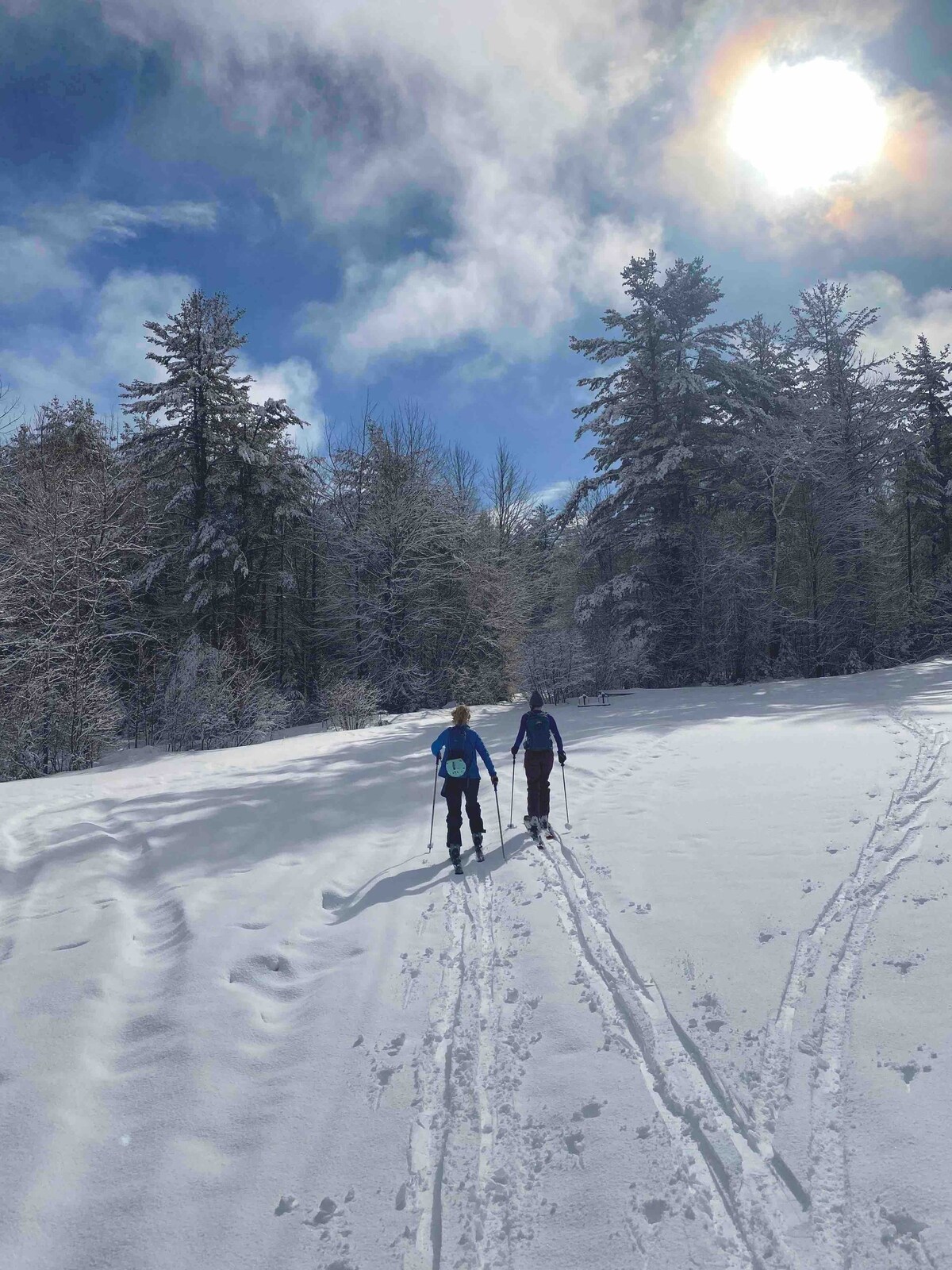 舒适的阿布拉姆山滑雪公寓-步行即可抵达山区！