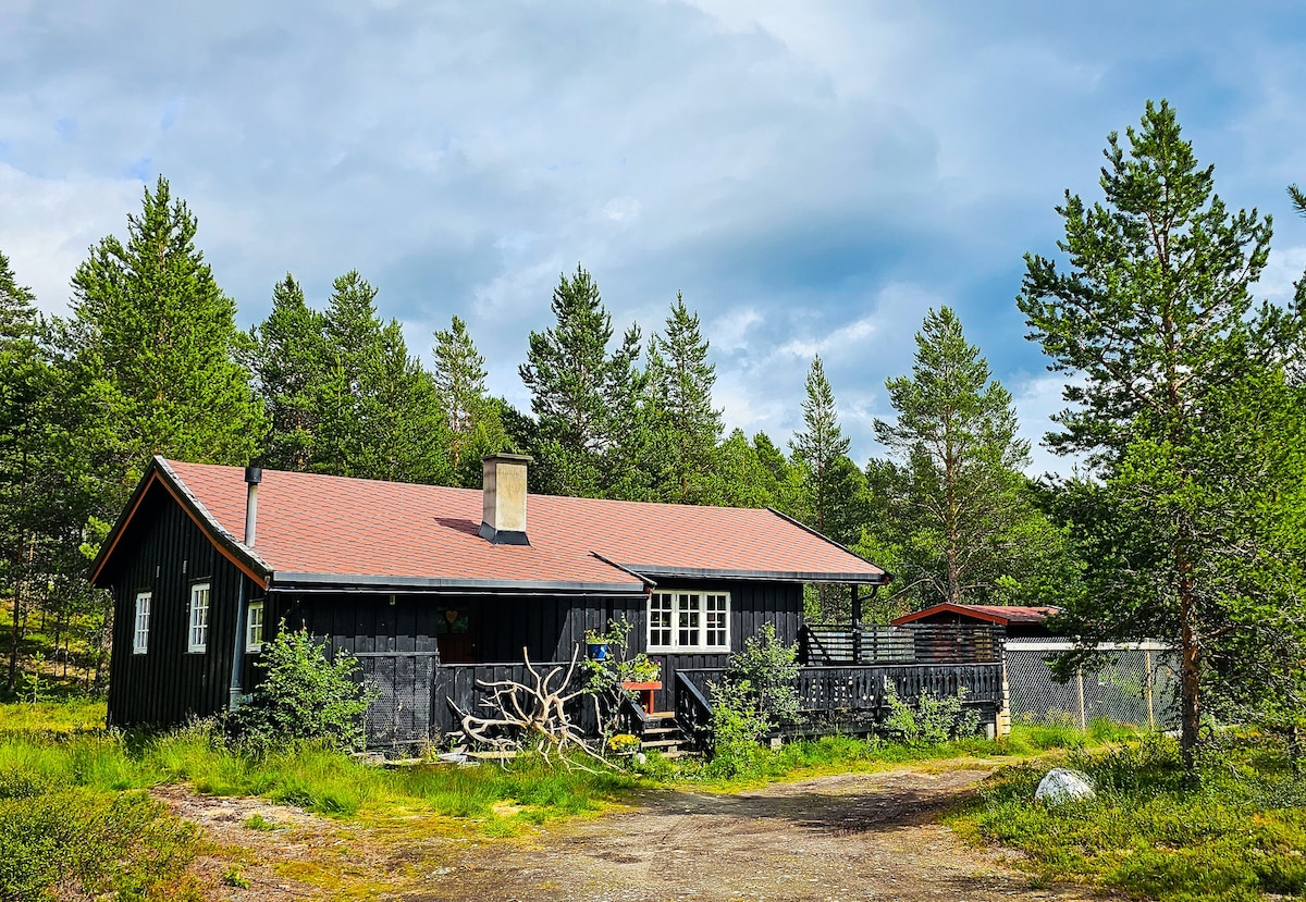 适合狗狗入住的小屋，步行即可抵达Røros ！