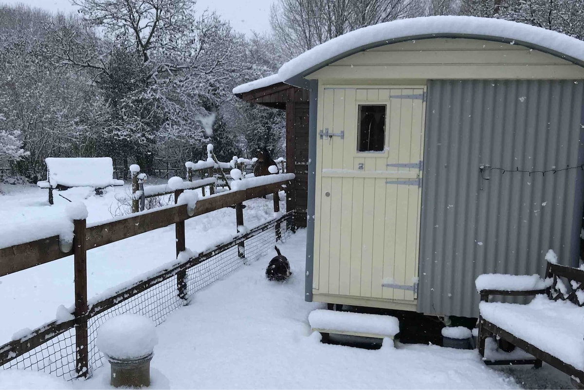 The Den. Sheppard 's hut, glamping