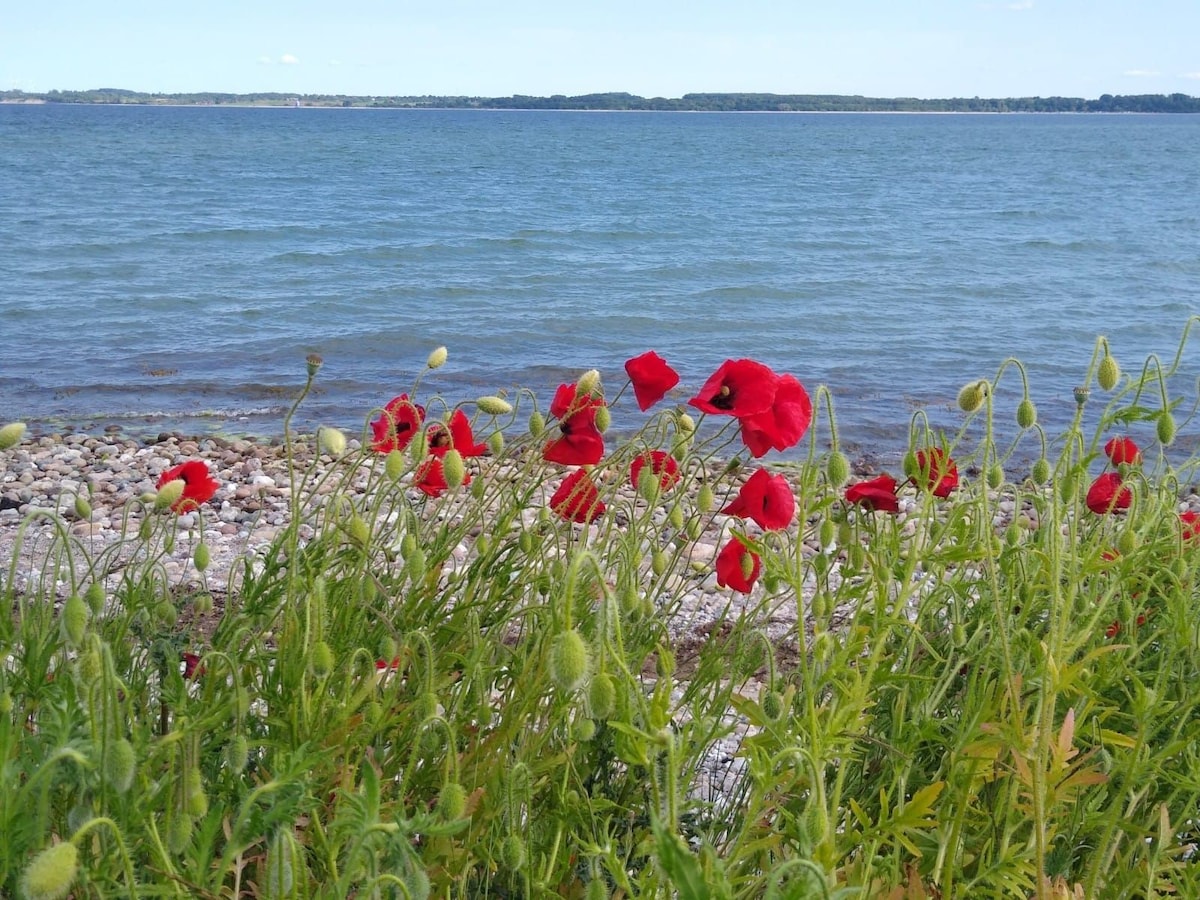 3 sonnige Gaestezimmer zwischen Schlei und Ostsee