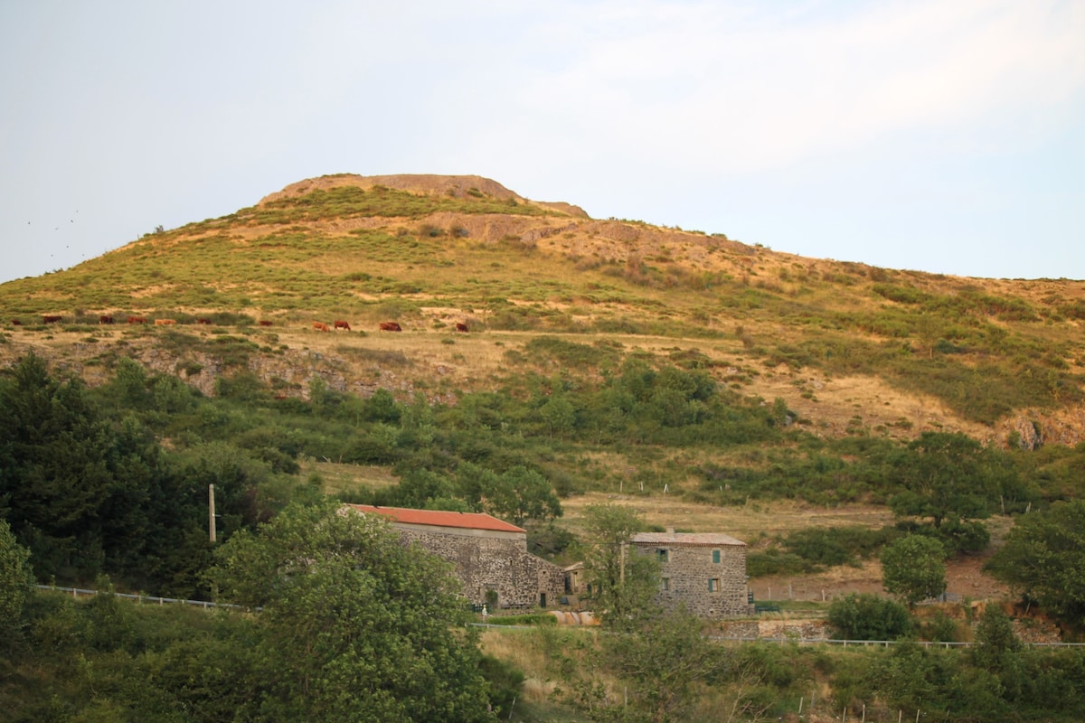 Grand Gite à la ferme. Magnifique panorama.