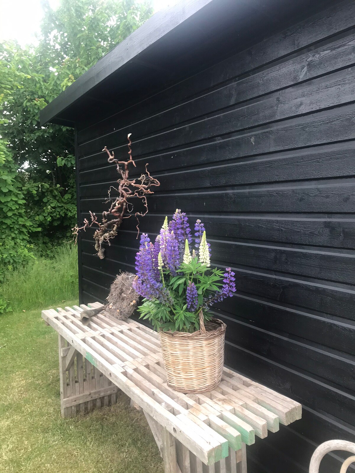 Nyt Sommerhus, skøn terrasse, fantastisk strand