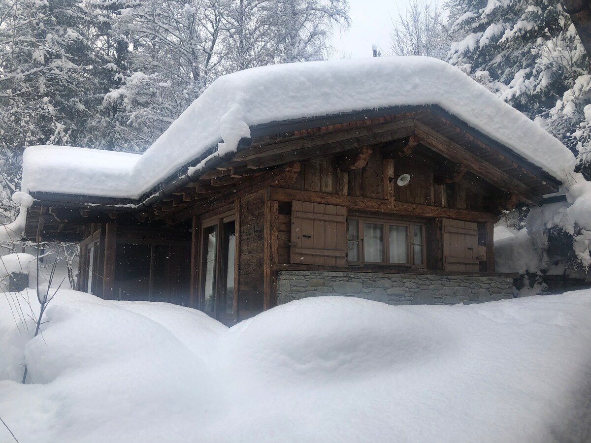 迷人的古老木材和石头度假木屋，欣赏勃朗峰