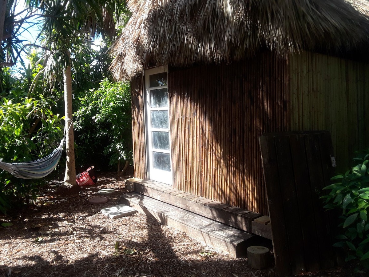 带吊床的Tiki小屋：都市农场动物收容所