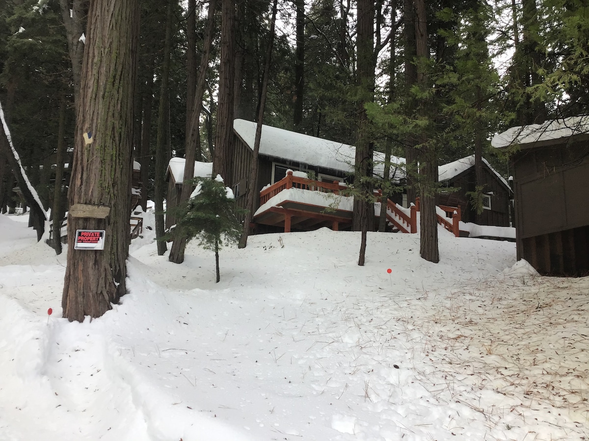 High Country Cabin